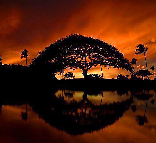 Beautiful Nature, Part 2 #27635352