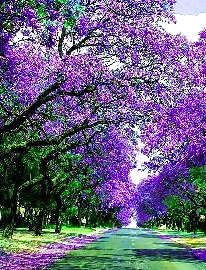 Beautiful Nature, Part 2 #27635397