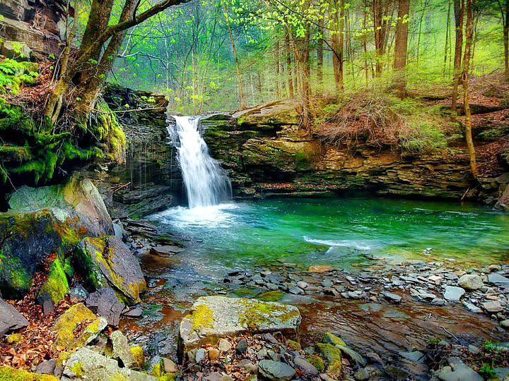 Hermosa naturaleza, parte 2
 #27635483