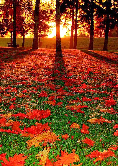 Beautiful Nature, Part 2 #27635498