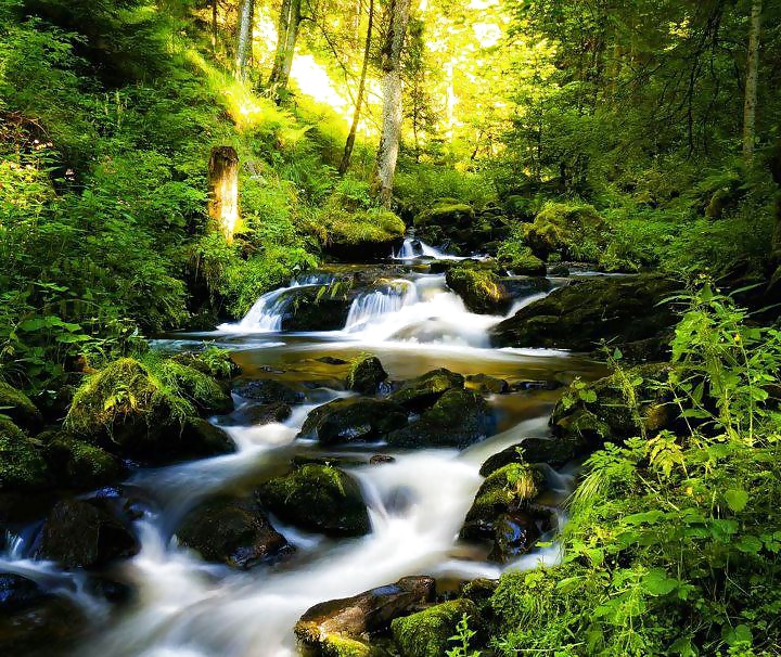 Beautiful Nature, Part 2 #27635523