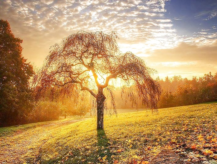Beautiful Nature, Part 2 #27635563
