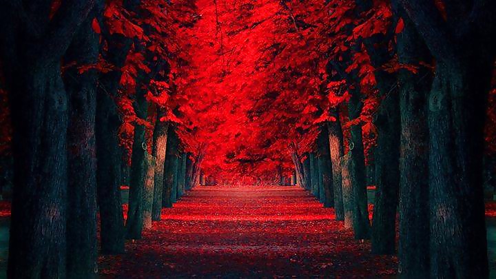 Beautiful Nature, Part 2 #27635598