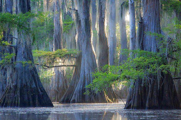 Beautiful Nature, Part 2 #27635605