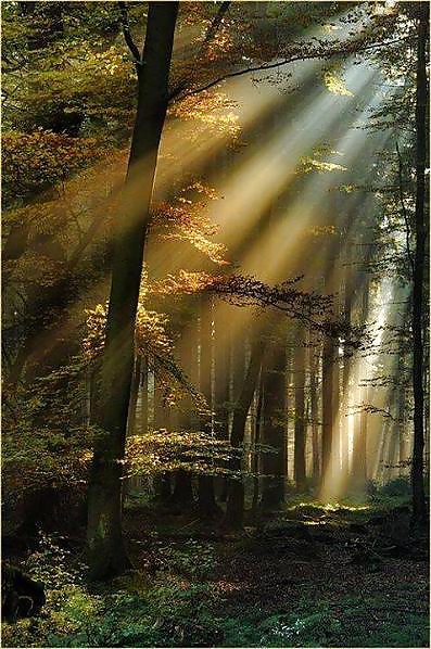 Beautiful Nature, Part 2 #27635853