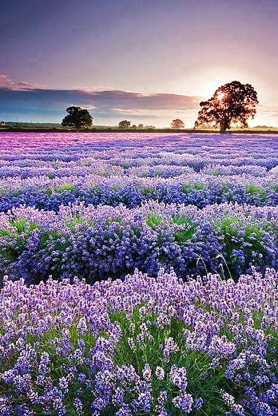 Beautiful Nature, Part 2 #27635857