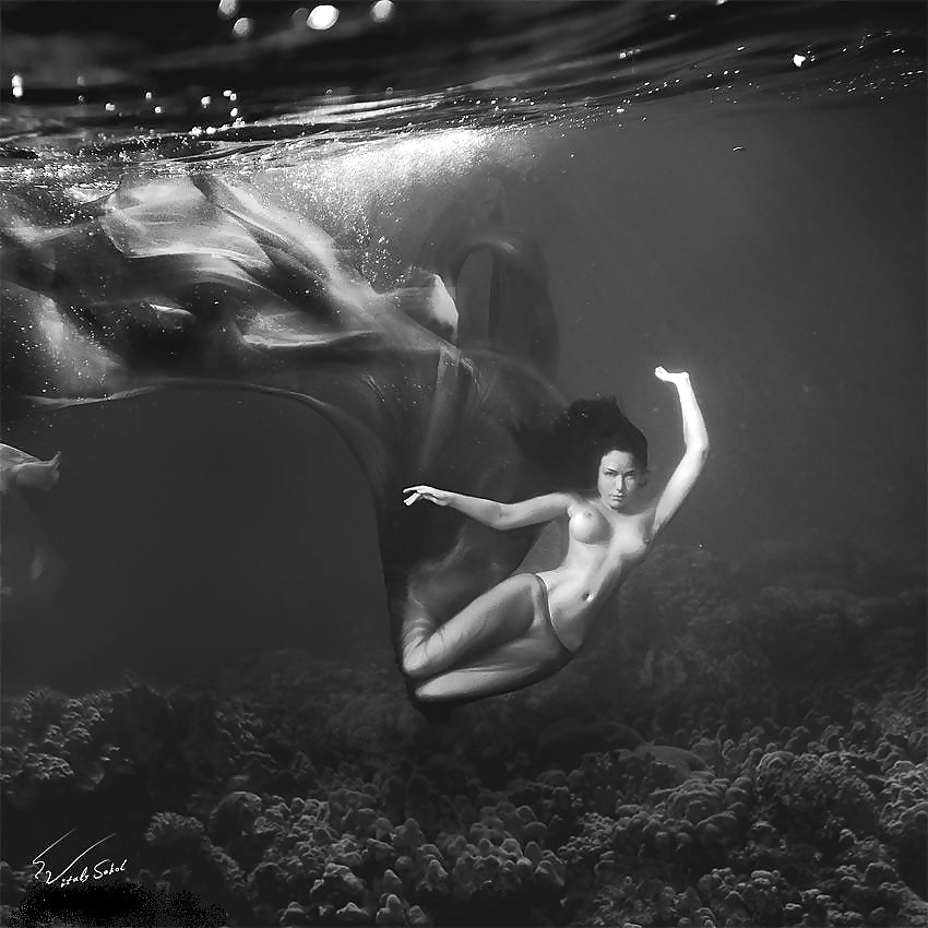 Fluid. #29325143