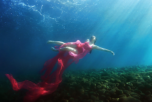 Fluid. #29325221