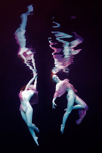 Fluid. #29325247