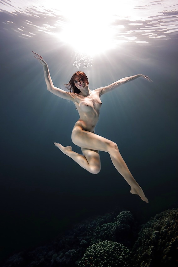 Fluid. #29325259