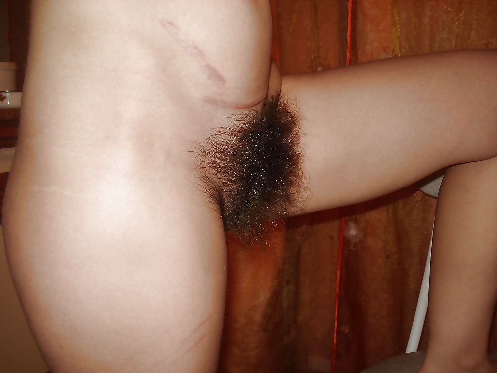Big Hairy Bush #29278379