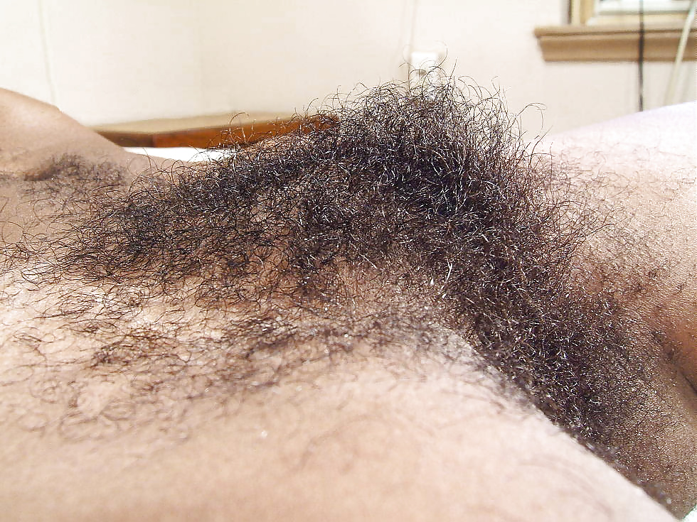 Big Hairy Bush #29278427