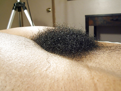 Big Hairy Bush #29278440