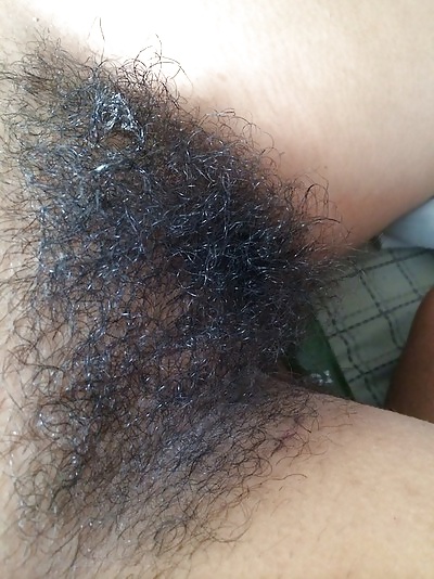 Big Hairy Bush #29278453