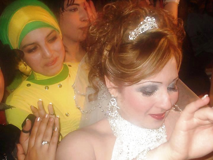 Dalya 3ABD El Men3em Araber Hündin 2 2014 #35391524