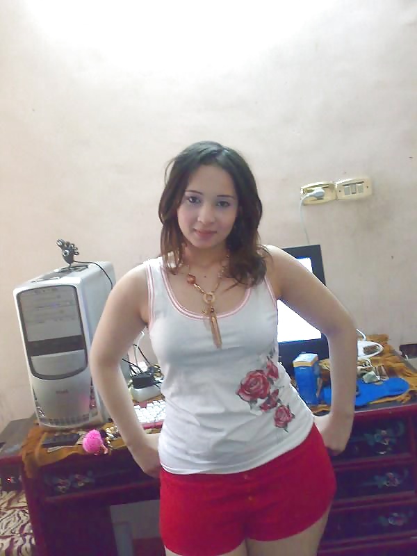 Dalya 3ABD El Men3em Araber Hündin 2 2014 #35391549