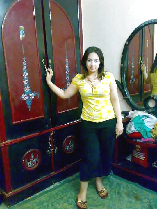 Dalya 3ABD El Men3em Araber Hündin 2 2014 #35391612