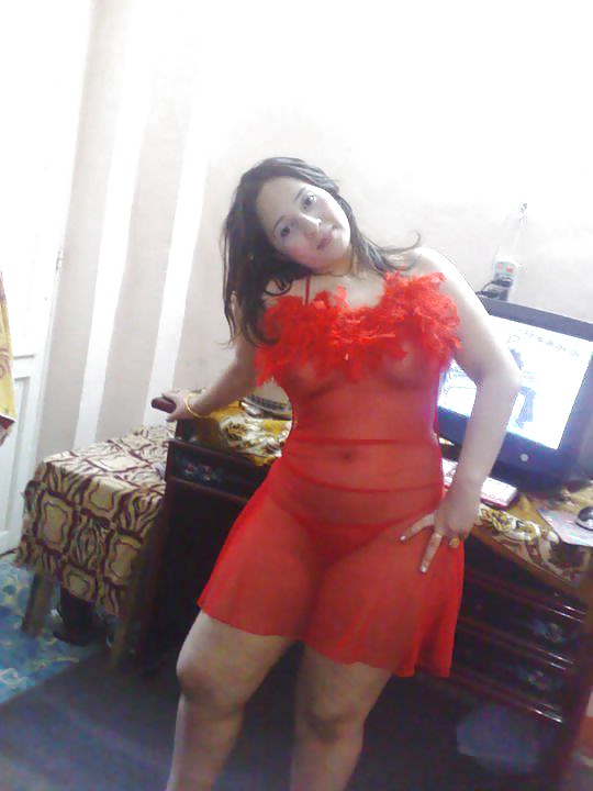 Dalya 3ABD El Men3em Araber Hündin 2 2014 #35391672