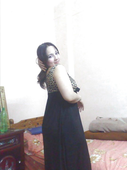 Dalya 3ABD El Men3em Araber Hündin 2 2014 #35391703
