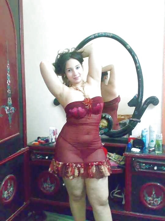 Dalya 3ABD El Men3em Araber Hündin 2 2014 #35391714