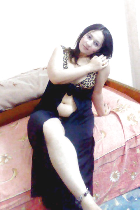 Dalya 3ABD El Men3em Araber Hündin 2 2014 #35391723