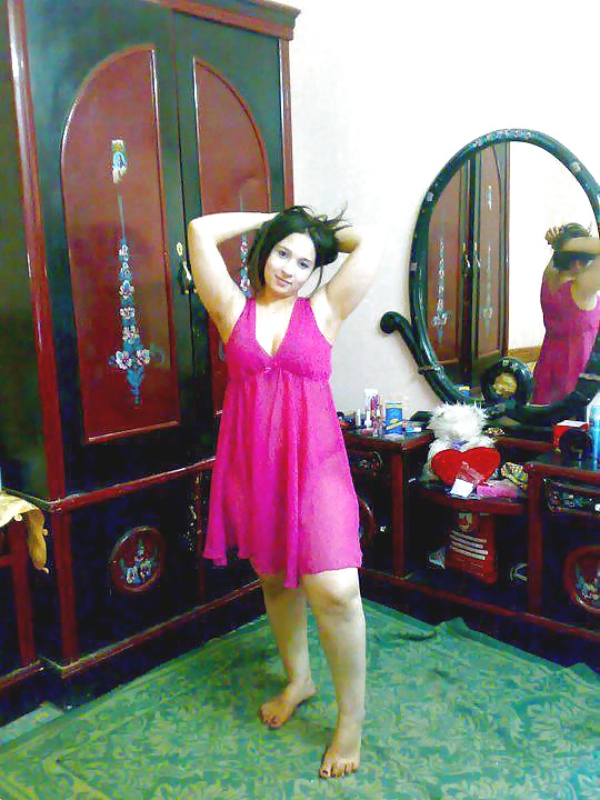 Dalya 3ABD El Men3em Araber Hündin 2 2014 #35391747
