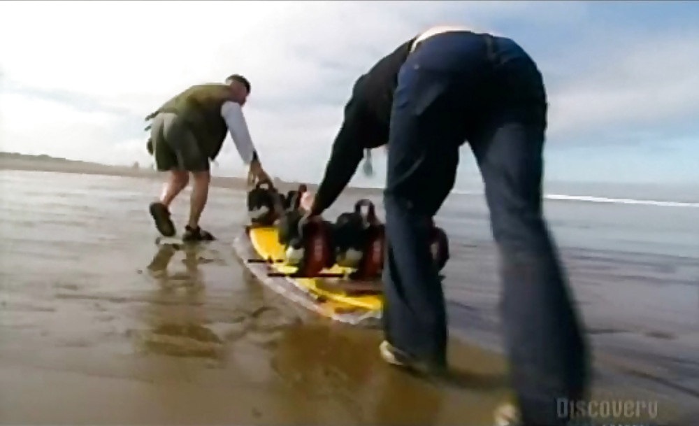 Kari Byron Ass - The best part? #35817969