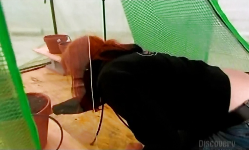 Kari byron culo - la mejor parte?
 #35817983