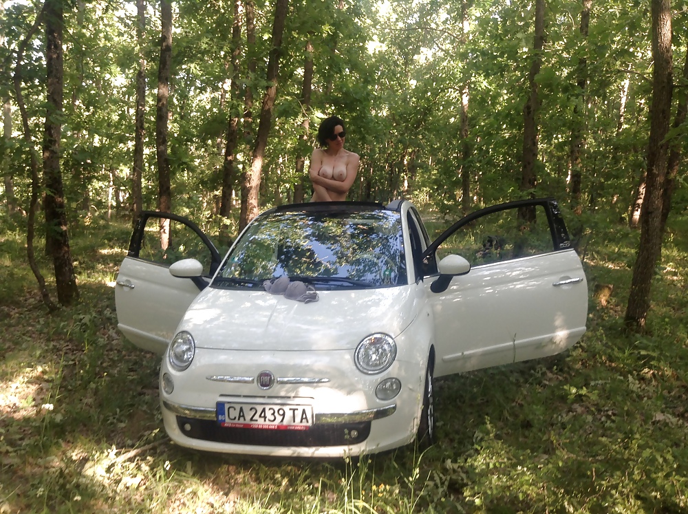 Session De Voiture De La Forêt #23857583