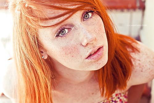 Redheads, red hair. Softcore beauties.