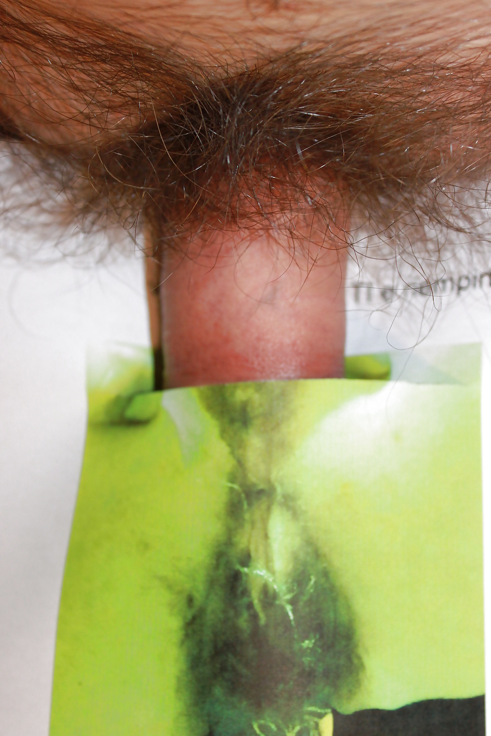 Per ele77
 #39644406