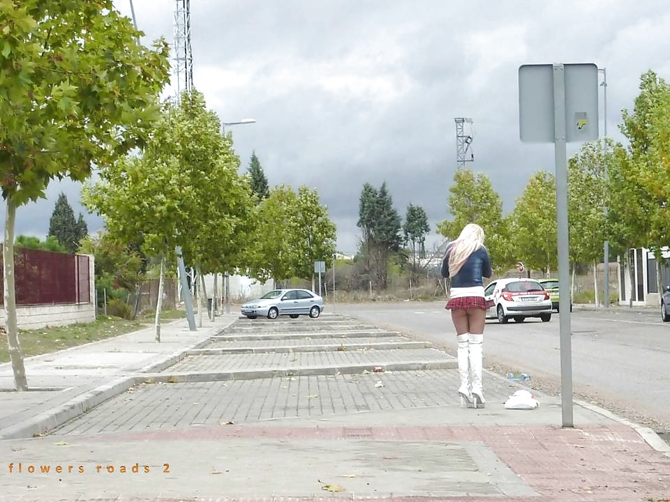 Prostitute di strada. roadflowers 2
 #30169620