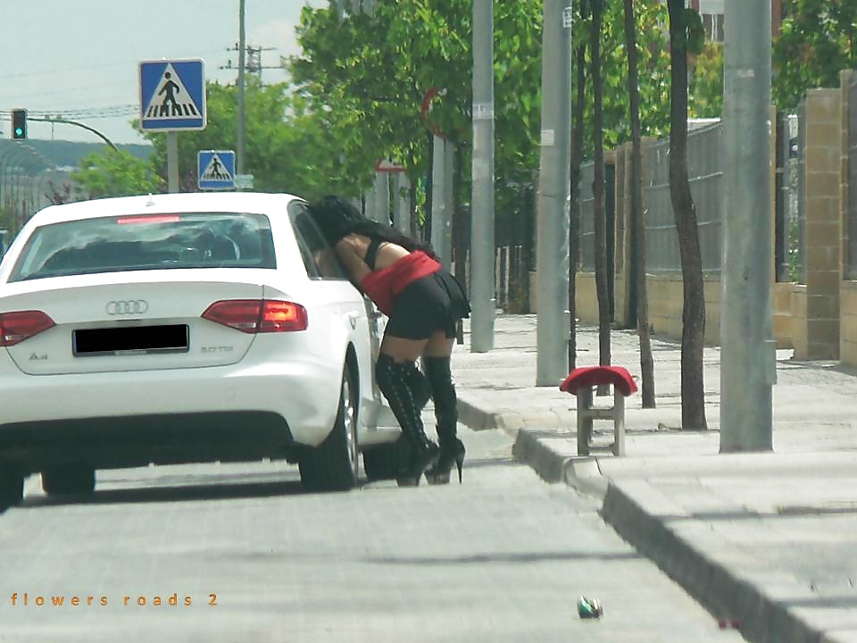 Street hookers. Roadflowers 2 #30169646