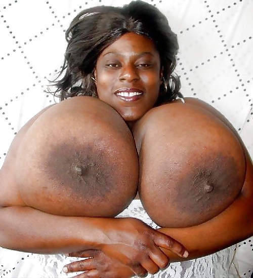 Nice Racks #27439483
