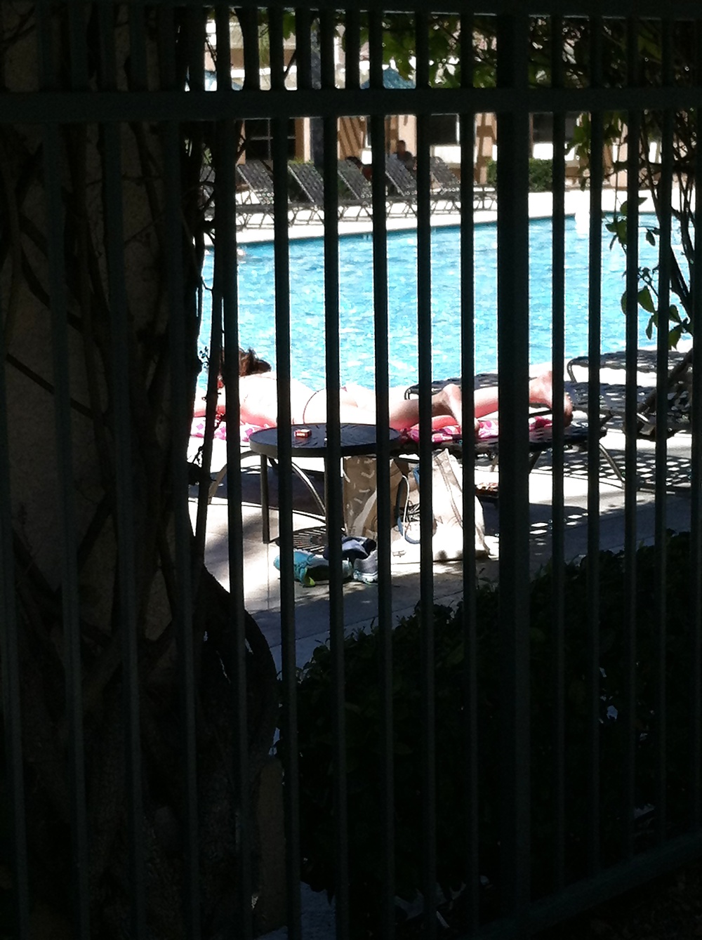 Chica caliente de bronceado en la piscina
 #29139602