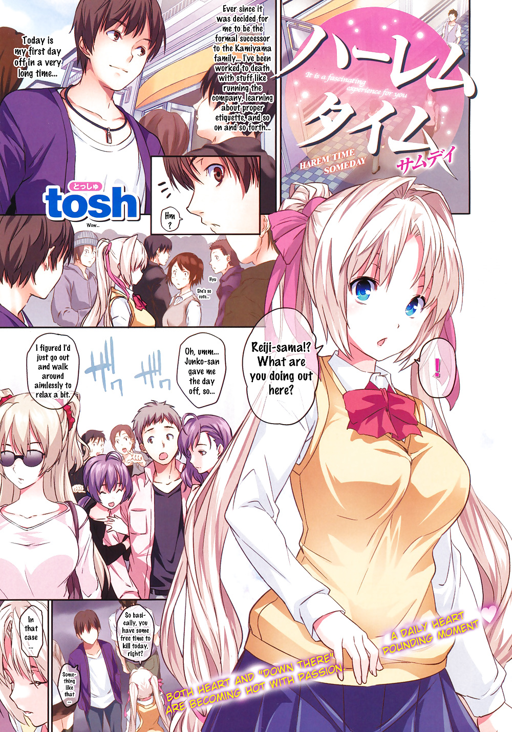 Tosh - Harem Time Someday #37694299