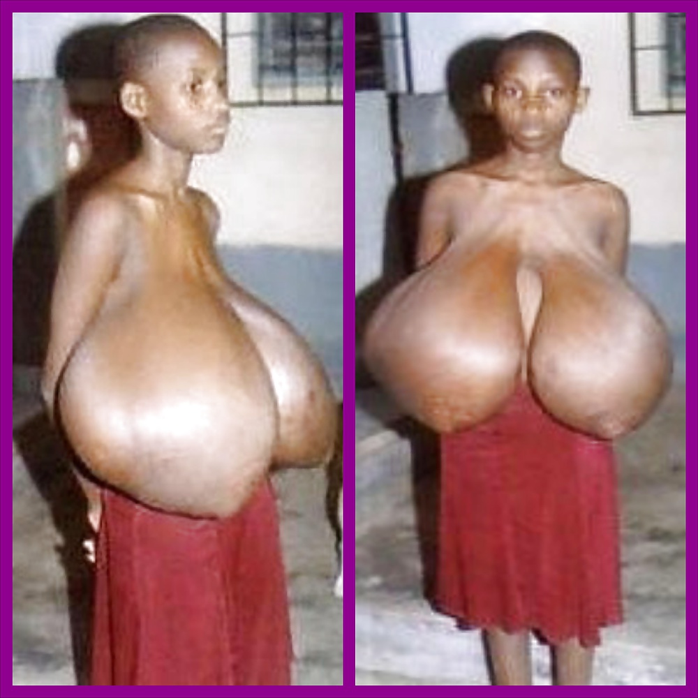 Collages de aficionados 4
 #30145990