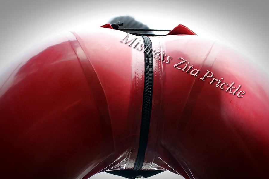 Mistress zita prickle femdom galerie
 #26260672