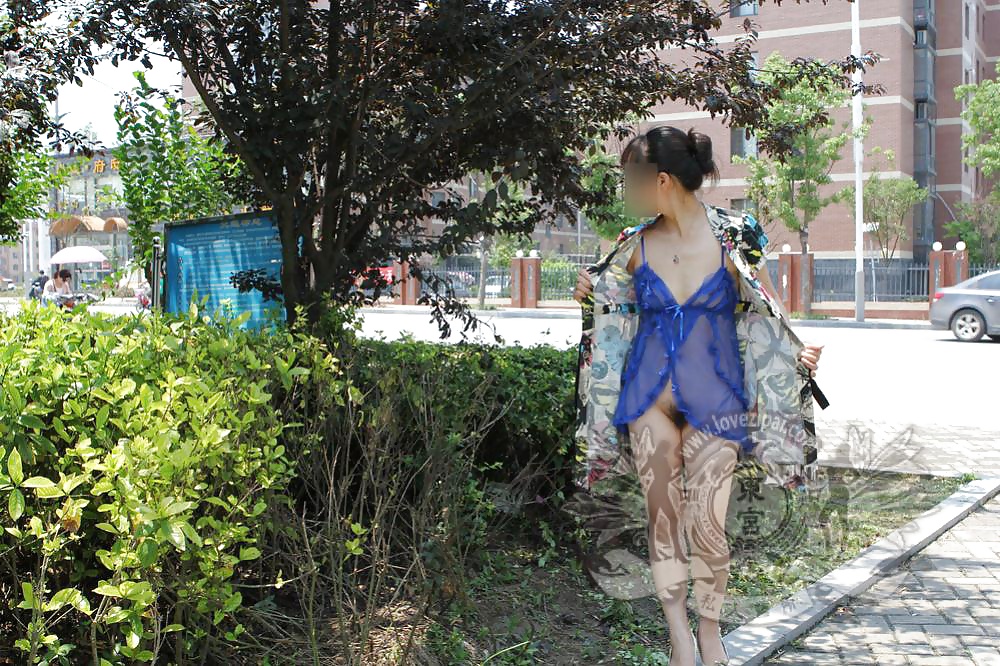 Chinese public part 3  #38789353