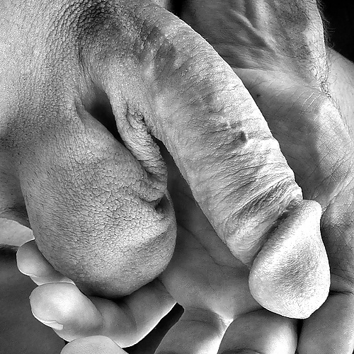 そして神はペニスを創った
 #29206277