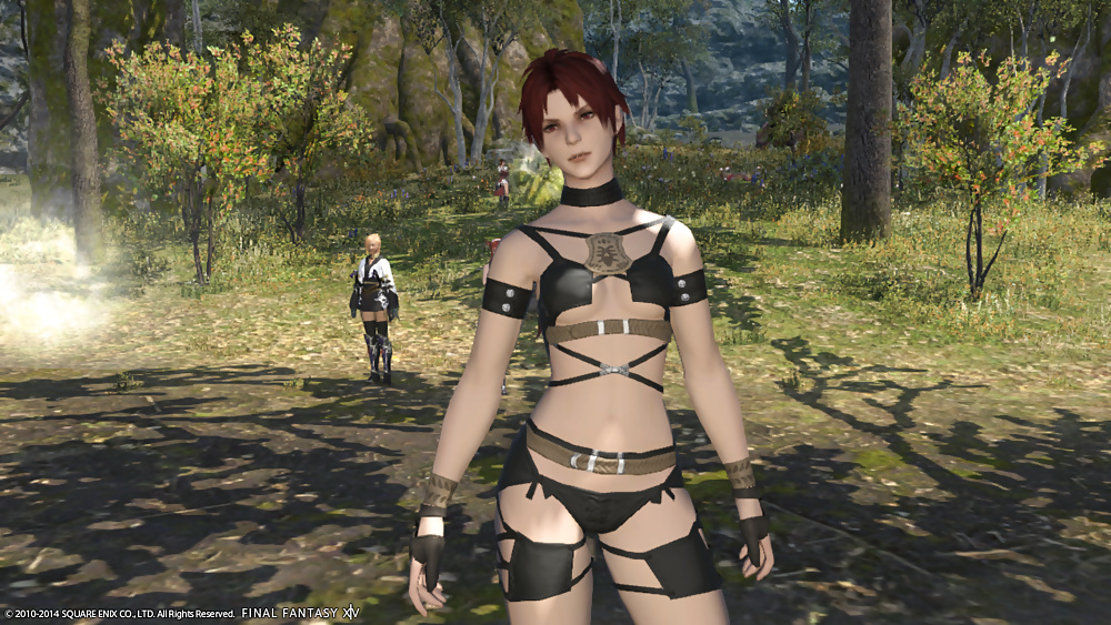 その他のセクシーなFFXIVベイブ
 #31602060