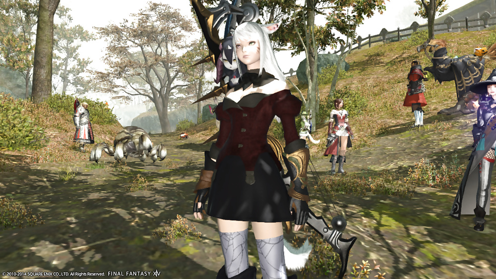 その他のセクシーなFFXIVベイブ
 #31602063