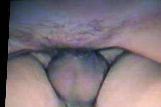 Mi sexywife ii
 #32884960