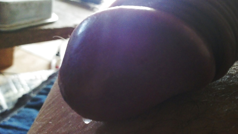 Miself #25216917