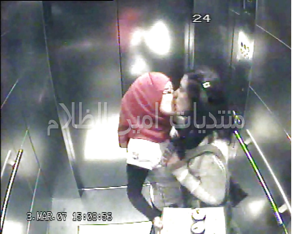 My Collection #25043439