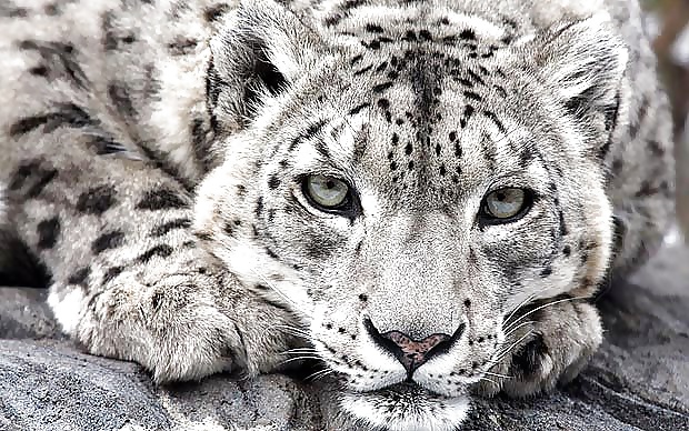 今日の写真
 #25735967