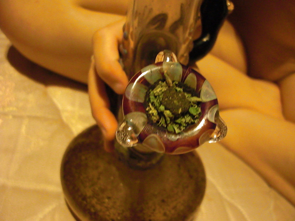 Stoner and Party Honeys #39628330