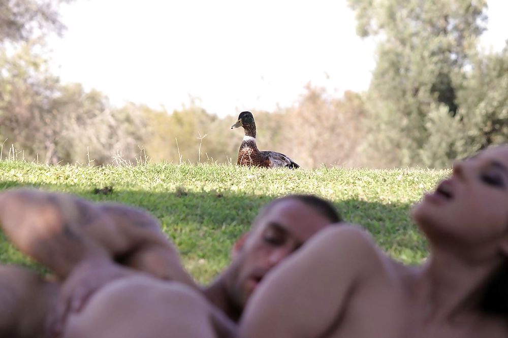 Divertido
 #23023659