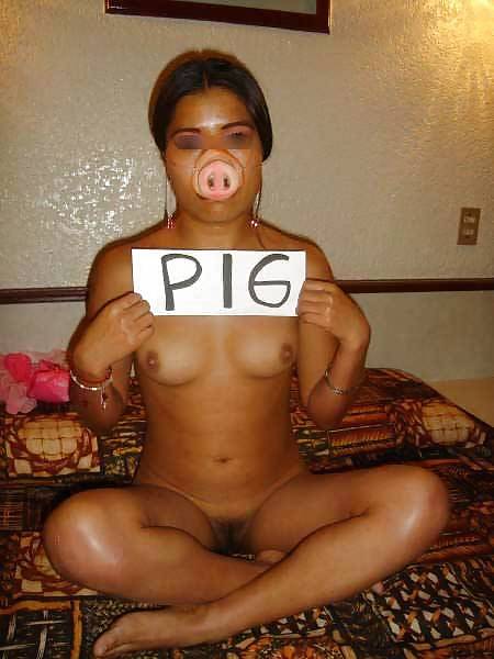 Pigs need to wear a pignose #36958274