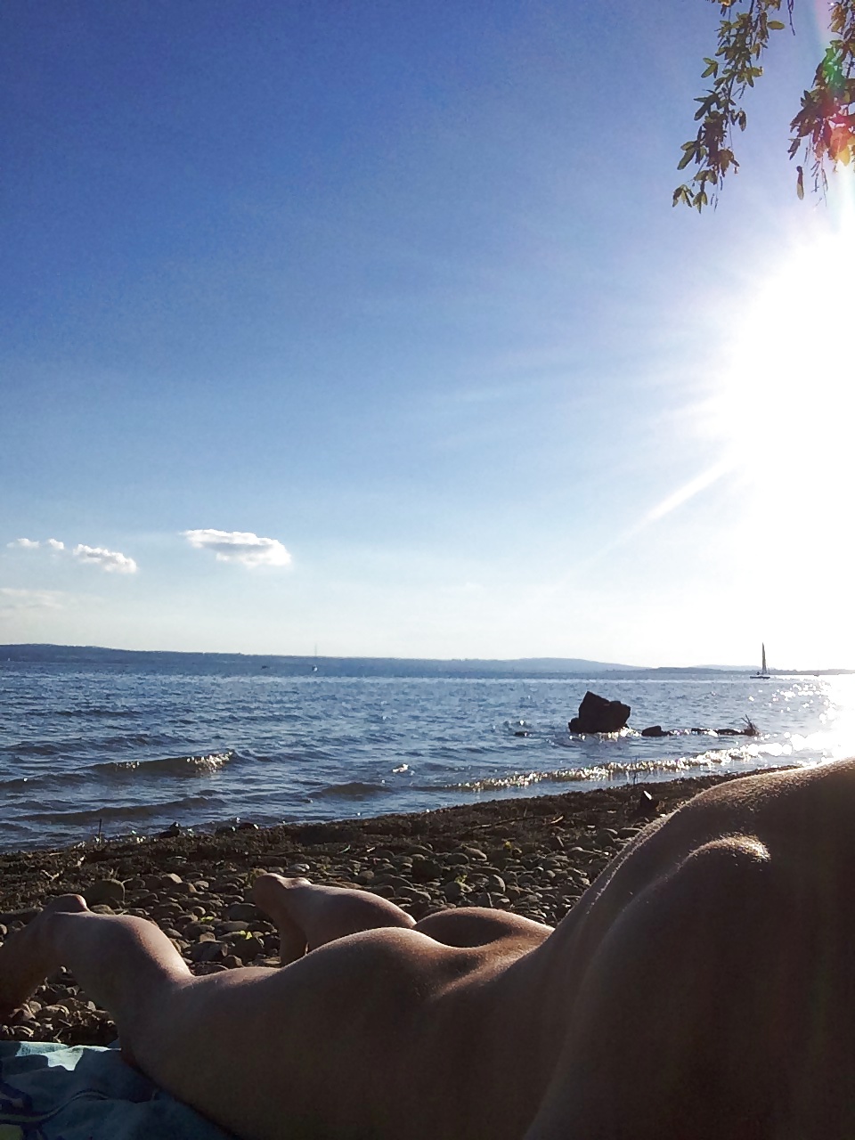 Algo nuevo
 #34770880